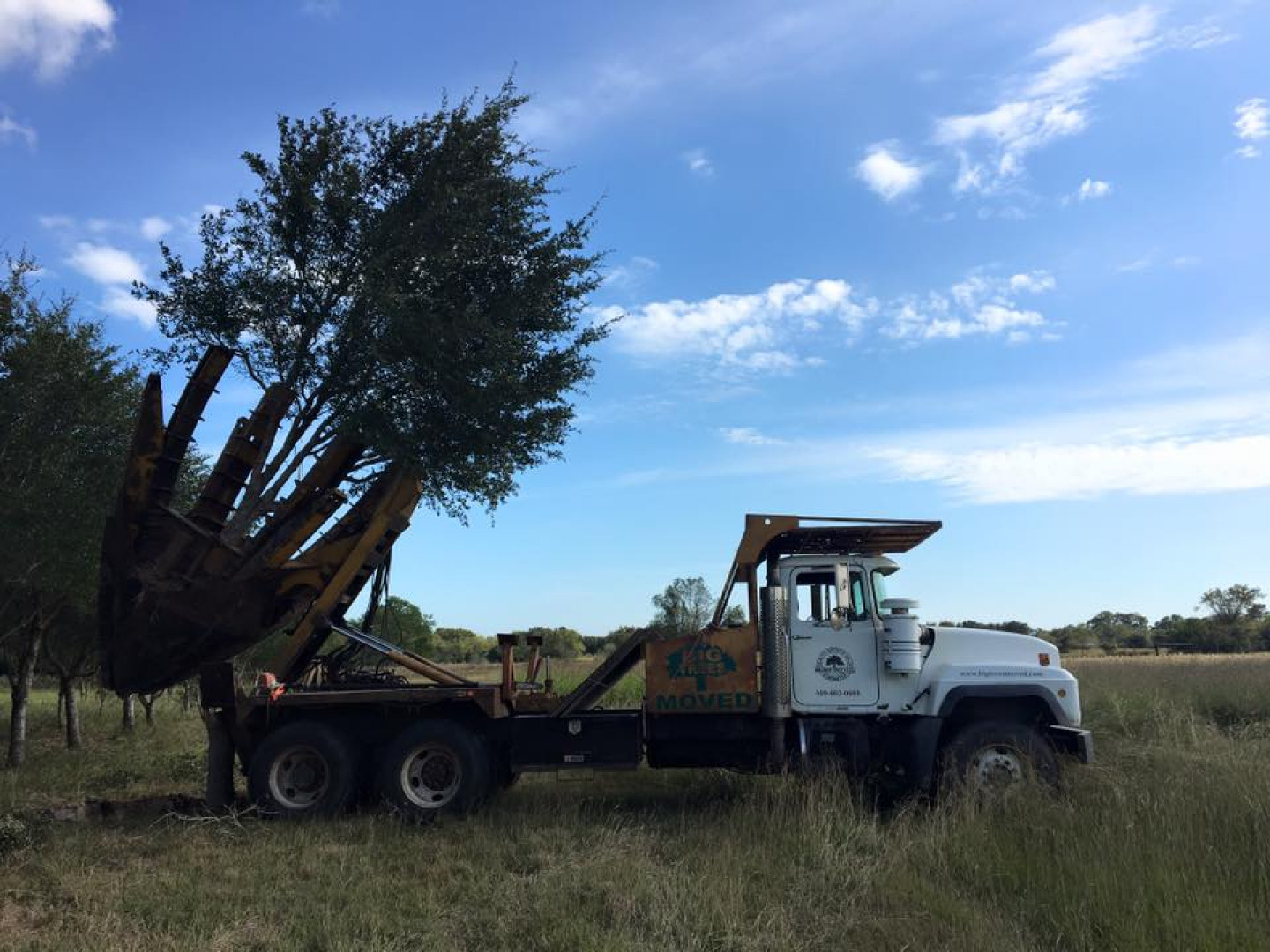 Tree Relocation Service &amp; Transplanting Santa Fe, League